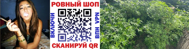 Купить наркотик Алексеевка Alpha-PVP  МАРИХУАНА  Cocaine  Меф мяу мяу  Амфетамин  ГАШ 
