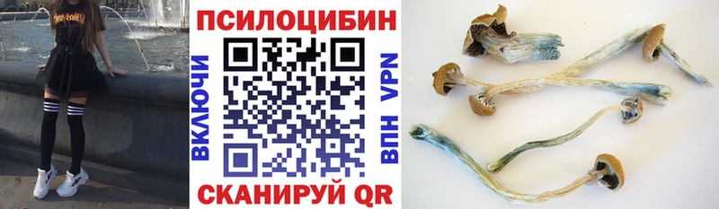 хочу   Алексеевка  Галлюциногенные грибы Cubensis 